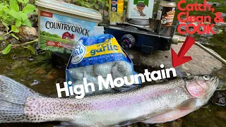 The Astonishing Beauty of High Mountain Trout Fishing | Catch, Clean, COOK