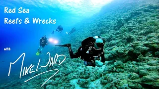 Reefs and Wrecks Liveaboard Red Sea August 2023