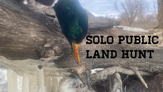 Solo Oklahoma Public Land Duck Hunt