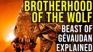 BROTHERHOOD OF THE WOLF (The Beast of Gévaudan) EXPLAINED