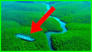 10 Weirdest Discoveries in the Amazon Rainforest