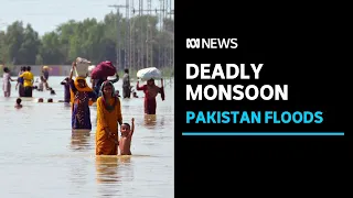 Calls for international assistance as millions displaced in Pakistan floods |ABC News