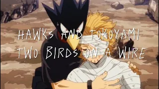 Hawks and Tokoyami Two Birds on a Wire edit 🥰✨🦅