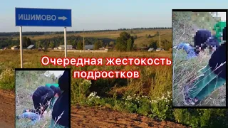 Что произошло в Ишимово??? Продолжение. Октябрьский Пермский край