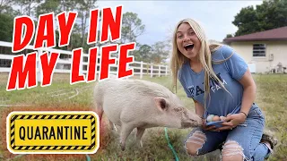 Quarantine Day In My Life with All My Pets! | Feeding All My Pets, Playing Star Stable, Cute Animals