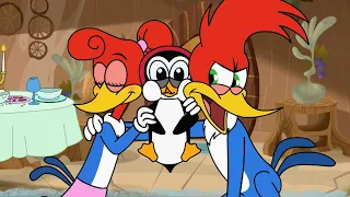 Chilly ruins Woody's date | Woody Woodpecker