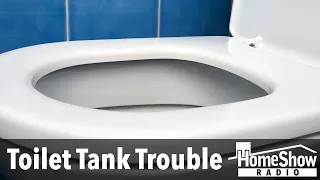 What causes the inside of my toilet tank to turn black?