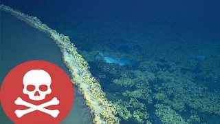 Scientists Discover UNDERWATER Lake That KILLS Everything it Touches!