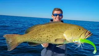 INSANE Fishing Spot! Catch Clean Cook (Gag Grouper Limits)