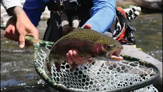 FLY FISHING CENTRAL OREGON 2018 - EP 04