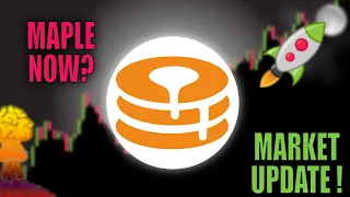 📢 MAPLE:  FOMO or Wait?! [prediction, strategy, and analysis]👀 Buy MPL now?