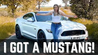 I BOUGHT A FORD MUSTANG GT SHADOW EDITION!!