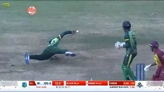 Unbelievable! Chris Gayle takes a one-handed blinder in GT20Canada Final