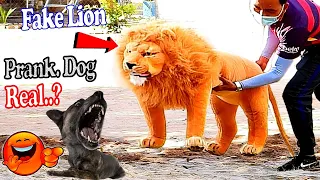 Big Fake Lion vs Real Dogs Prank Very Funny   Must Watch Funny Video compilation. Try not to laugh.