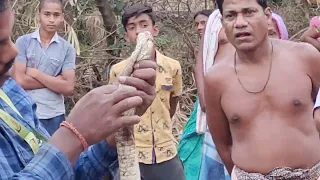 cobra snake save my villege 🙏