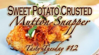 Sweet Potato Crusted Mutton Snapper: Tasty Tuesday #12