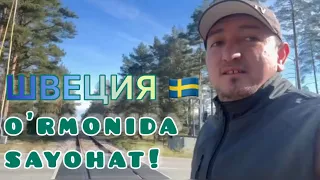 O’RMON бойлап пляжга сайохат🚶‍♂️😊 ШВЕЦИЯ 🇸🇪