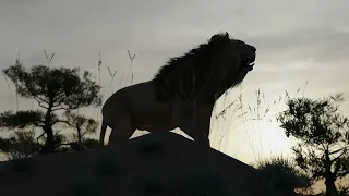 Lion Roar || Animation || Portfolio Sample || ArtistAyon #blender3d