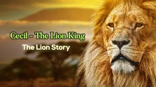 Cecil - The Lion King | Lion Story Based on a True Story | The Lion Story | How To survive in Jungle