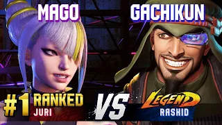 SF6 ▰ MAGO (#1 Ranked Juri) vs GACHIKUN (Rashid) ▰ High Level Gameplay