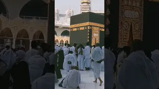 Labbaik Allahumma #shorts #video #vlog #umrah #makkah #islam #saudiarabia #life #lifestyle #muslim