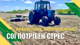 Стрес сої для підвищення врожайності