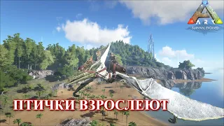 Яйцо виверны на птеродактиле ! - ARK: Survival Evolved p.23