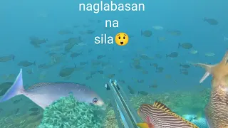 sulit ang dayo namin ni idol JP parang aquarium sa dami ng isda catch and sell