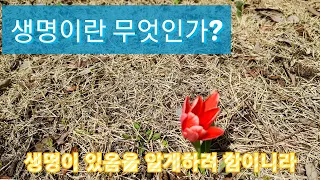 (교회 평생 다녀도 모르는)생명이란 무엇인가?ㅡ생명이 있음을 알게하려 함이니라!