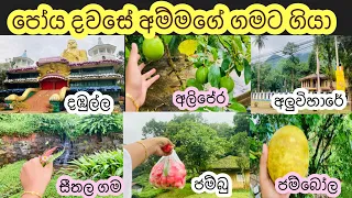 පෝය දවසේ මාතලේ ගෙවුන විදිහ |Esala poya day vlog | Mathale vlog  #adayinmylife #mydiary #Asala