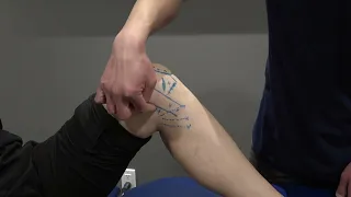 Medial Knee 7 - Palpation