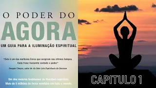 O Poder do Agora - CAPITULO 1 - Você Não É Sua Mente (AudioBook)