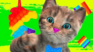 CUTE LITTLE KITTEN ADVENTURE - PET CARE AND SUPER CAT CARTOON STORY AND CAT VIDEOS