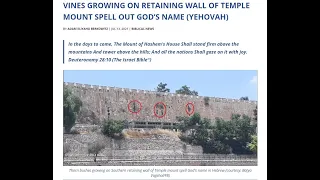 GOD Reveals HIMSELF as Name of GOD appears on Temple Mount in Jerusalem