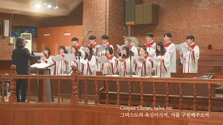 Anima Christi(그리스도의 영혼) - 당산동 청년성가대(엠마우스깐또레스)