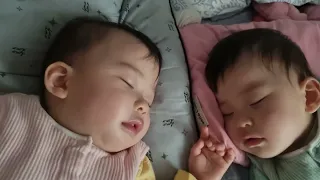 [HATAE TV] [Eng sub] 배꼽자랑하기 서랍뒤지기 서로 붙어있고 싶어하는 쌍둥이 12개월 딸둥이 육아 브이로그 노부영 추천 Lots  of feelings