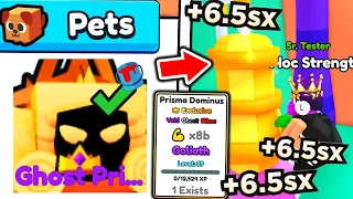 I Got MAXED OUT 8 BILLION STAT PRISMA DOMINUS PET in Roblox Arm Wrestle Simulator..