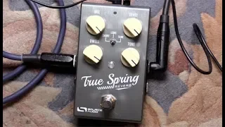 First Look - Source Audio True Spring Reverb