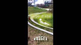 Luge d'été - VOSGES