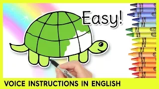 How to Draw a TURTLE! Preschool Learning Video