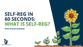 Self-Reg in 60 Seconds: What is Self Reg?