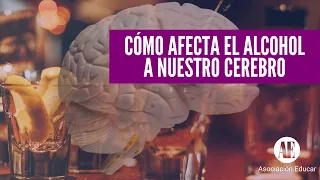 CÓMO AFECTA EL ALCOHOL A NUESTRO CEREBRO