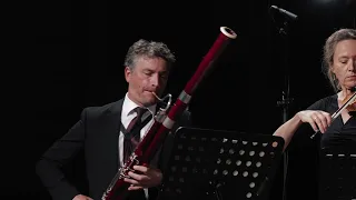 Gabriel Fauré | Pavane op. 50 arranged for Bassoon and Strings