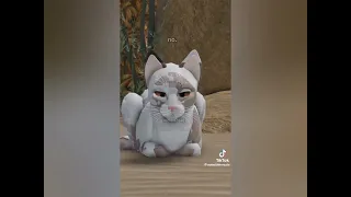 🐾 Warrior Cats Ultimate Edition -(wcue)- tiktok🐾