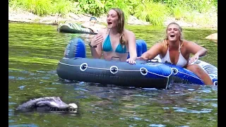 Gator Prank: Laugh-Out-Loud Reactions to Hilarious Alligator Shenanigans!