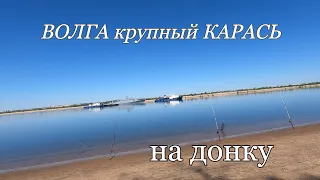 Рыбалка на донку с берега.Ловим КАРАСЯ на Волге.