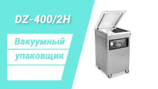 Вакуумный упаковщик DZ-400/2H