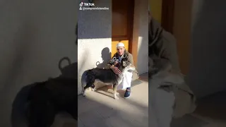 PEUT-ON VRAIMENT FAIRE ENTRER SON CHIEN DANS LA MAISON EN ISLAM?