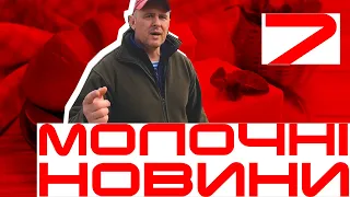 Ціни на молоко та м'ясо в березні 2021 | Ставка 14% ПДВ | Фальсифікація масла | МОЛОЧНІ НОВИНИ