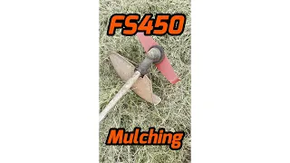 Mulching with Stihl FS450 Brushcutter #Shorts